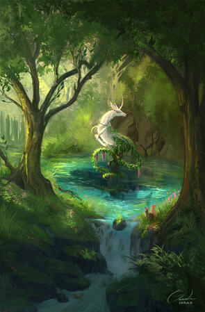 Heart of the forest